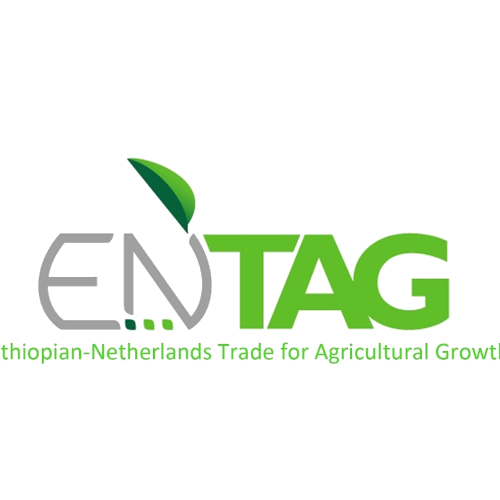 Ethiopian-Netherlands Trade for Agricultural Growth